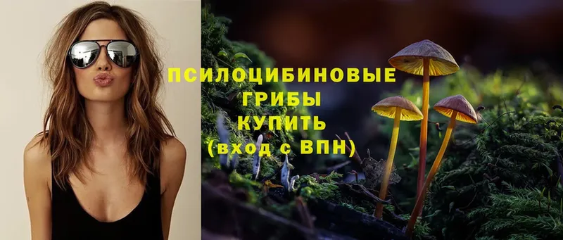 Псилоцибиновые грибы Magic Shrooms  кракен как зайти  Олонец 